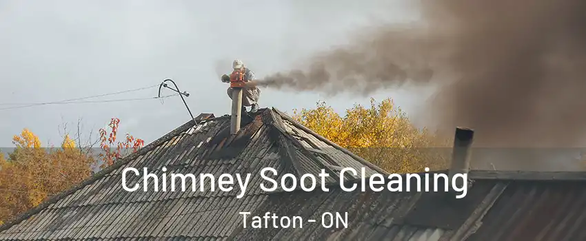  Chimney Soot Cleaning Tafton - ON