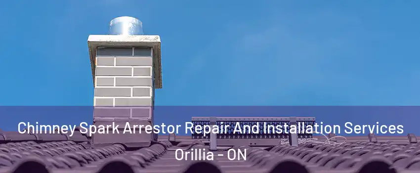 Chimney Spark Arrestor Repair And Installation Services Orillia - ON