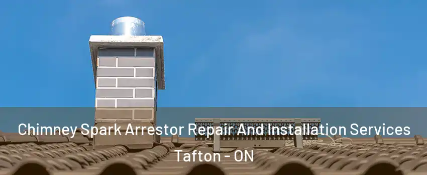  Chimney Spark Arrestor Repair And Installation Services Tafton - ON