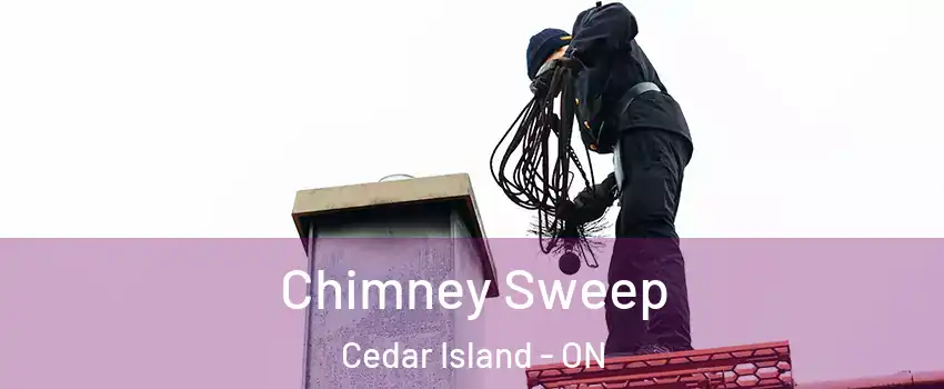  Chimney Sweep Cedar Island - ON