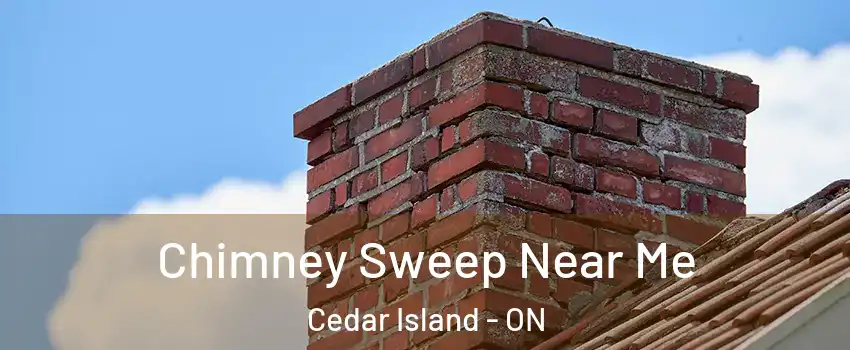  Chimney Sweep Near Me Cedar Island - ON
