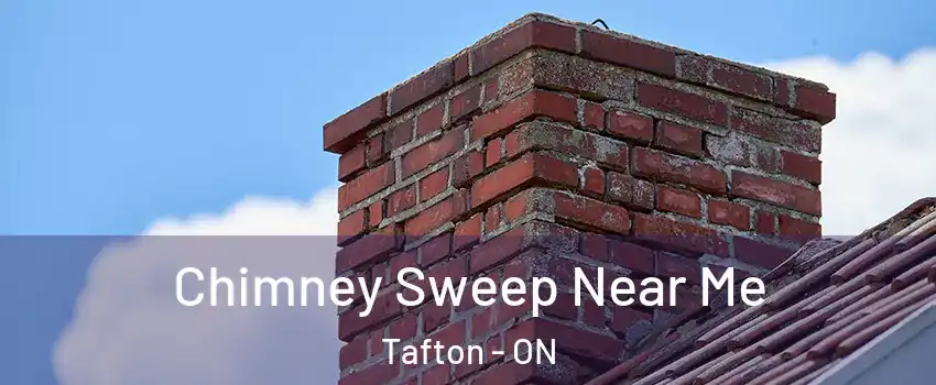  Chimney Sweep Near Me Tafton - ON