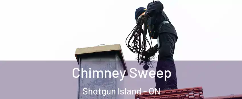  Chimney Sweep Shotgun Island - ON