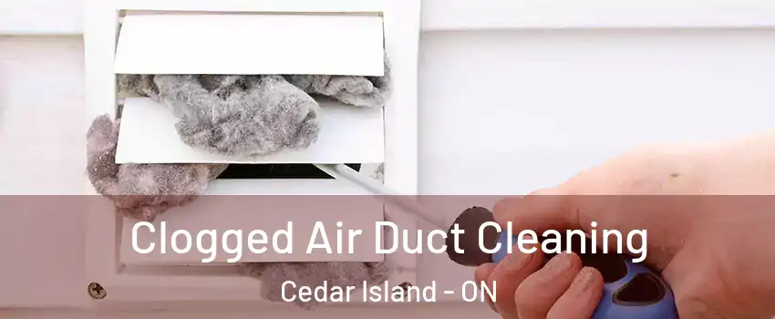  Clogged Air Duct Cleaning Cedar Island - ON