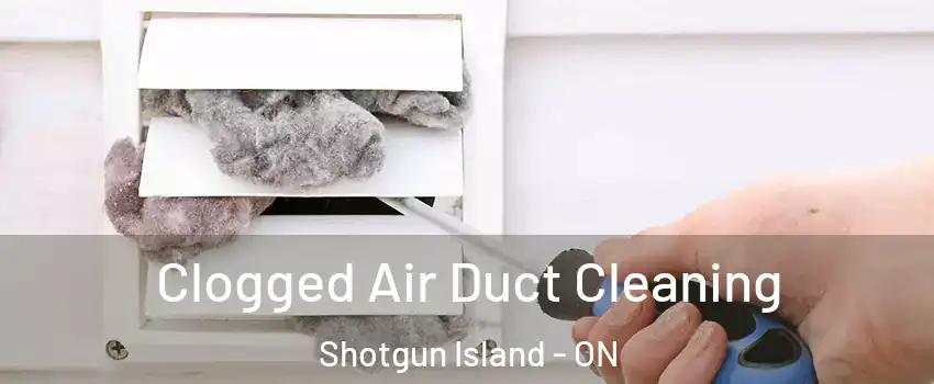  Clogged Air Duct Cleaning Shotgun Island - ON