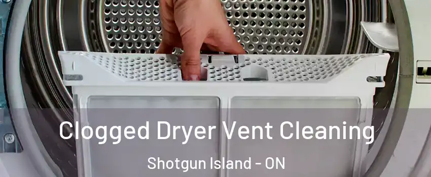 Clogged Dryer Vent Cleaning Shotgun Island - ON