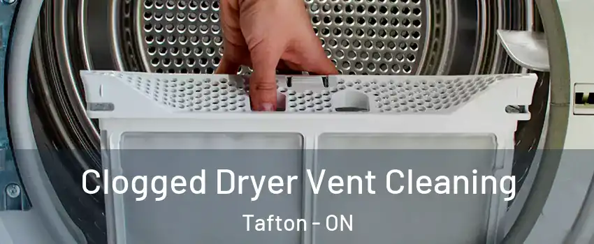  Clogged Dryer Vent Cleaning Tafton - ON