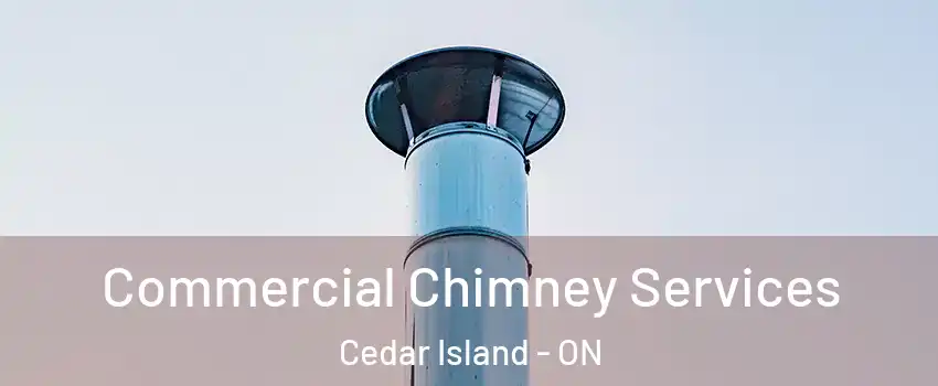  Commercial Chimney Services Cedar Island - ON