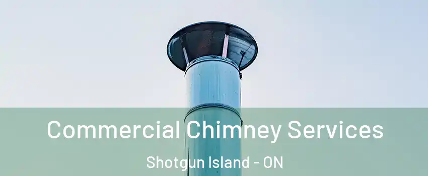 Commercial Chimney Services Shotgun Island - ON