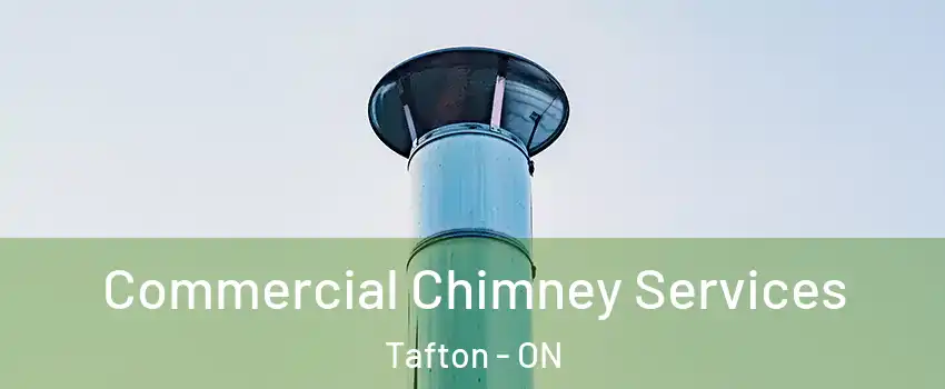  Commercial Chimney Services Tafton - ON