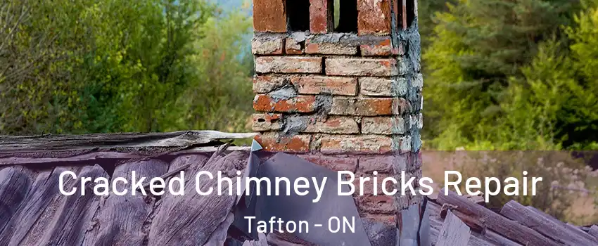  Cracked Chimney Bricks Repair Tafton - ON