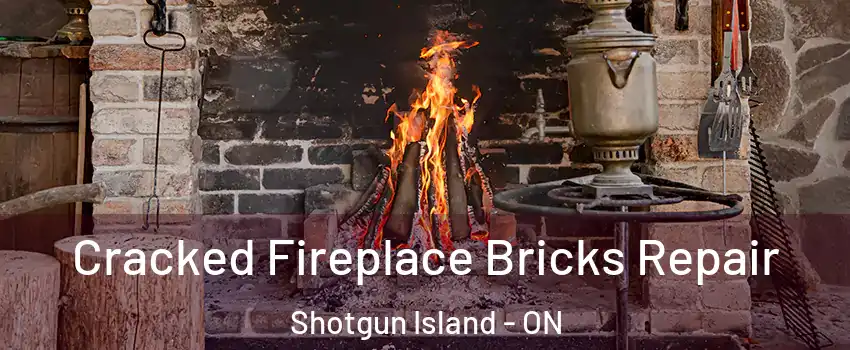  Cracked Fireplace Bricks Repair Shotgun Island - ON