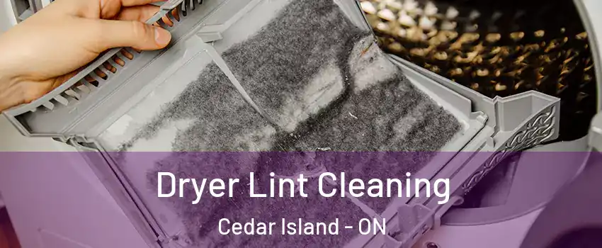  Dryer Lint Cleaning Cedar Island - ON