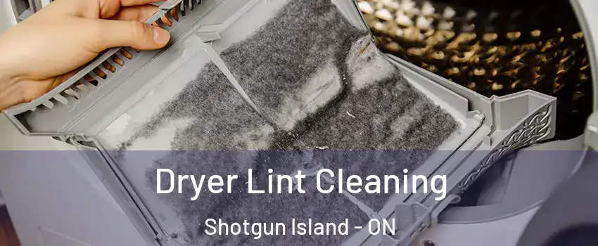  Dryer Lint Cleaning Shotgun Island - ON