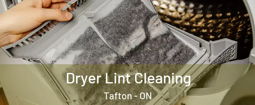  Dryer Lint Cleaning Tafton - ON