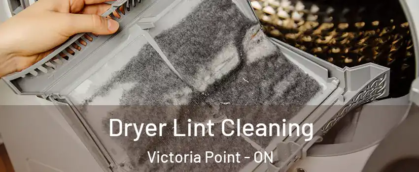  Dryer Lint Cleaning Victoria Point - ON