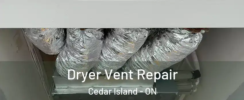  Dryer Vent Repair Cedar Island - ON