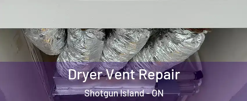  Dryer Vent Repair Shotgun Island - ON