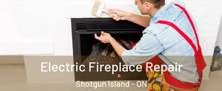 Electric Fireplace Repair Shotgun Island - ON