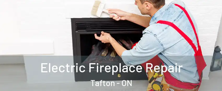  Electric Fireplace Repair Tafton - ON