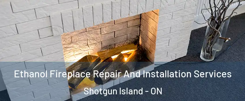  Ethanol Fireplace Repair And Installation Services Shotgun Island - ON