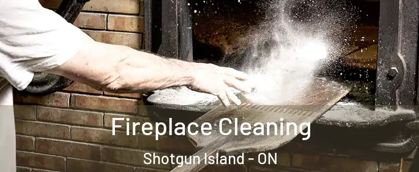  Fireplace Cleaning Shotgun Island - ON