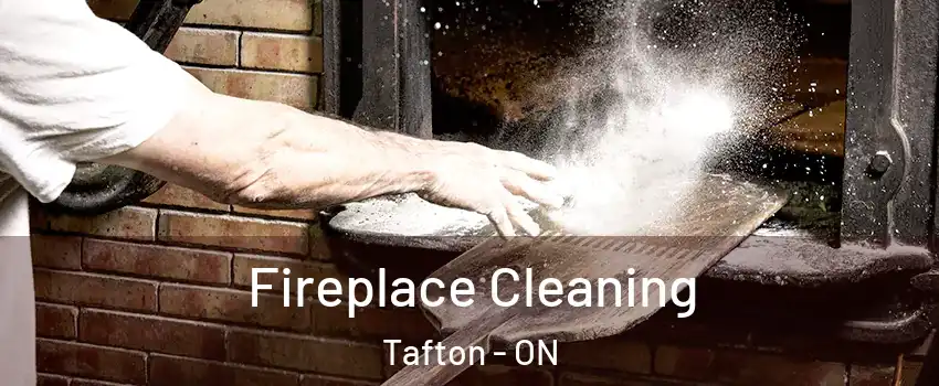  Fireplace Cleaning Tafton - ON