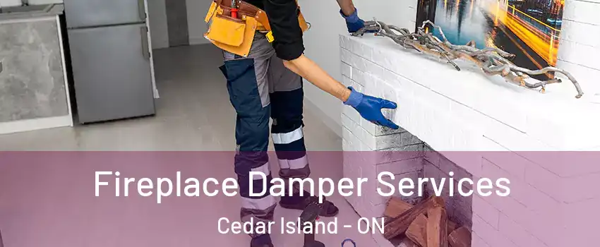  Fireplace Damper Services Cedar Island - ON