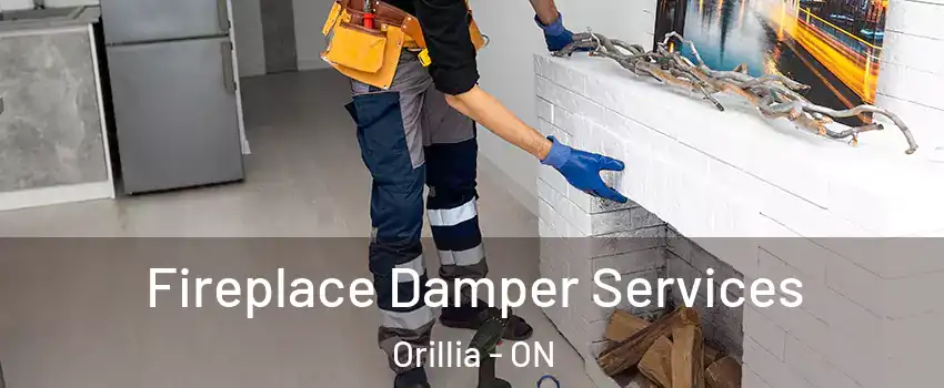  Fireplace Damper Services Orillia - ON