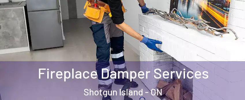 Fireplace Damper Services Shotgun Island - ON
