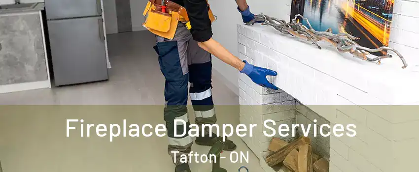  Fireplace Damper Services Tafton - ON