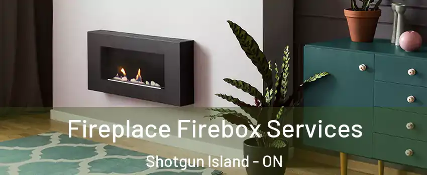  Fireplace Firebox Services Shotgun Island - ON