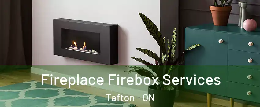  Fireplace Firebox Services Tafton - ON