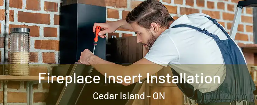  Fireplace Insert Installation Cedar Island - ON