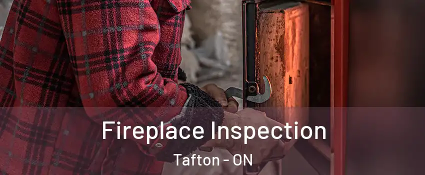  Fireplace Inspection Tafton - ON