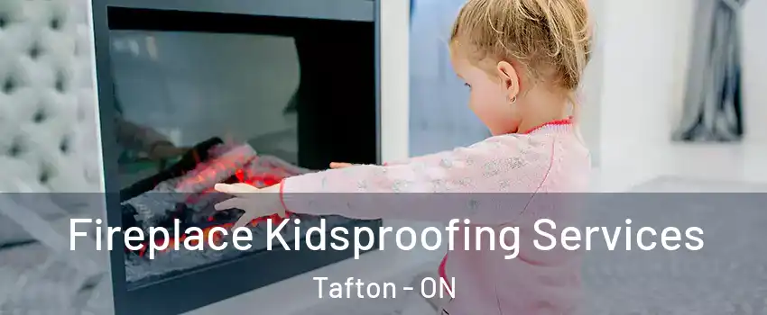 Fireplace Kidsproofing Services Tafton - ON