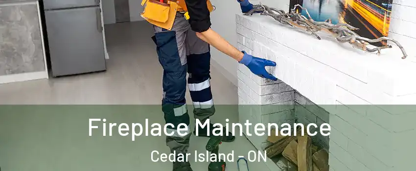  Fireplace Maintenance Cedar Island - ON