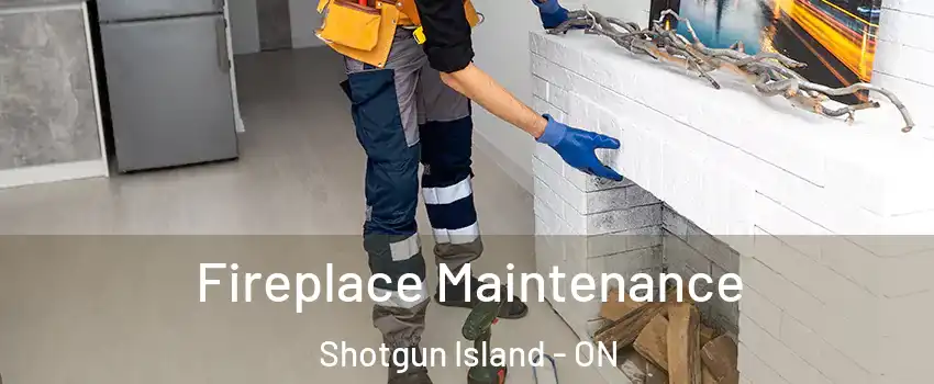  Fireplace Maintenance Shotgun Island - ON