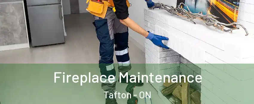  Fireplace Maintenance Tafton - ON