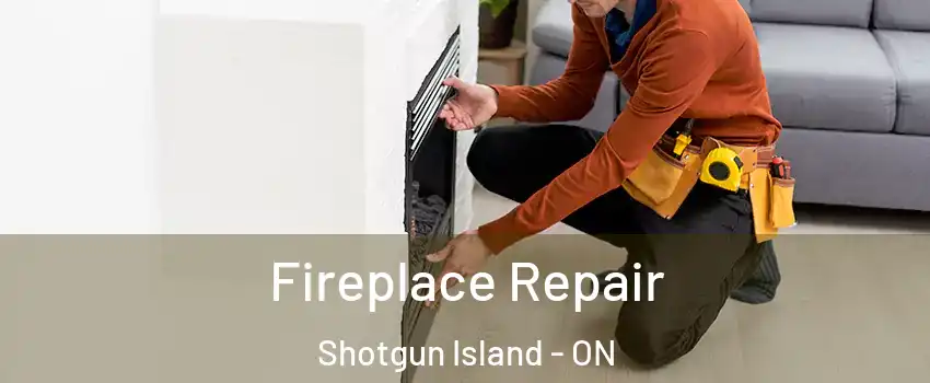  Fireplace Repair Shotgun Island - ON