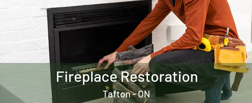  Fireplace Restoration Tafton - ON