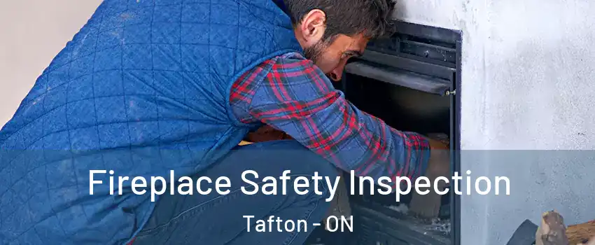 Fireplace Safety Inspection Tafton - ON