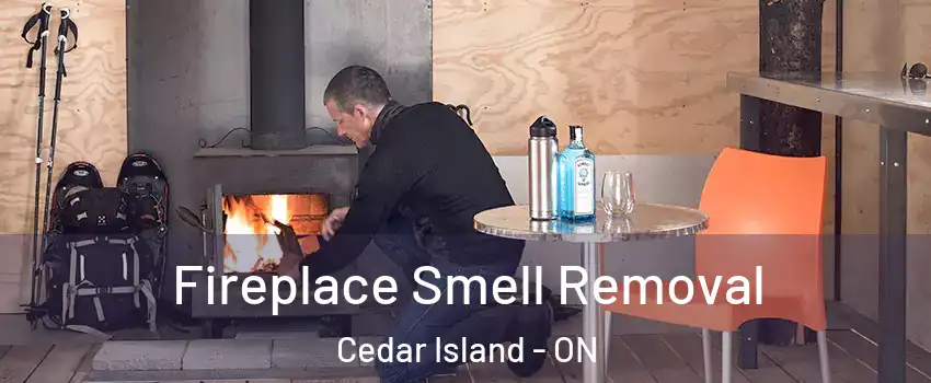  Fireplace Smell Removal Cedar Island - ON