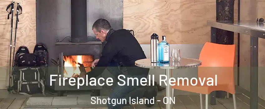  Fireplace Smell Removal Shotgun Island - ON