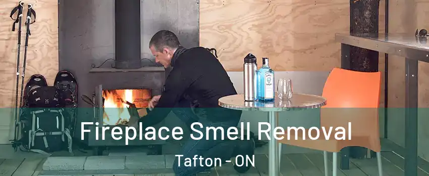  Fireplace Smell Removal Tafton - ON