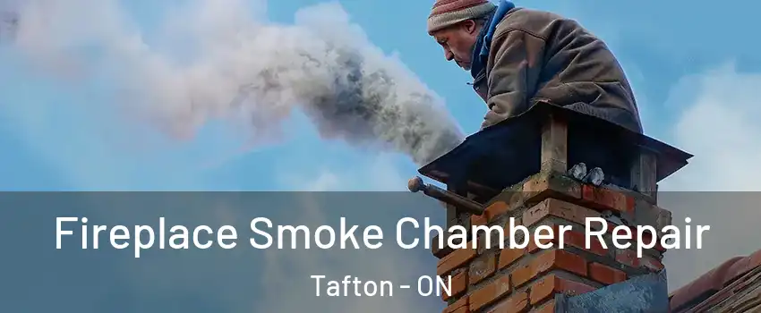  Fireplace Smoke Chamber Repair Tafton - ON