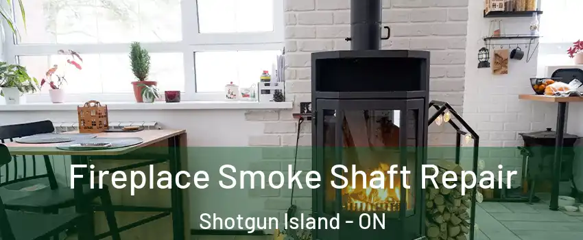  Fireplace Smoke Shaft Repair Shotgun Island - ON