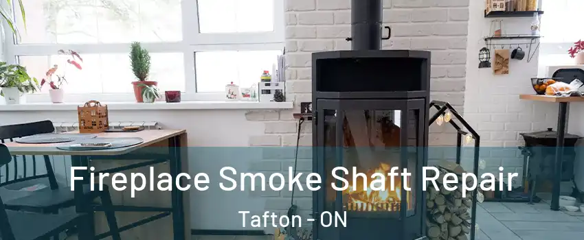 Fireplace Smoke Shaft Repair Tafton - ON
