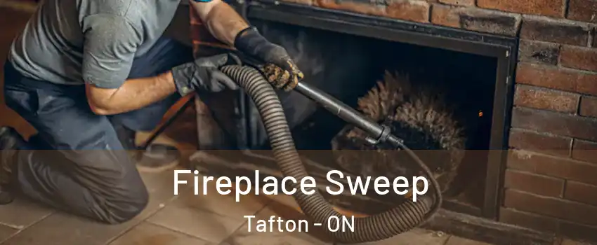  Fireplace Sweep Tafton - ON