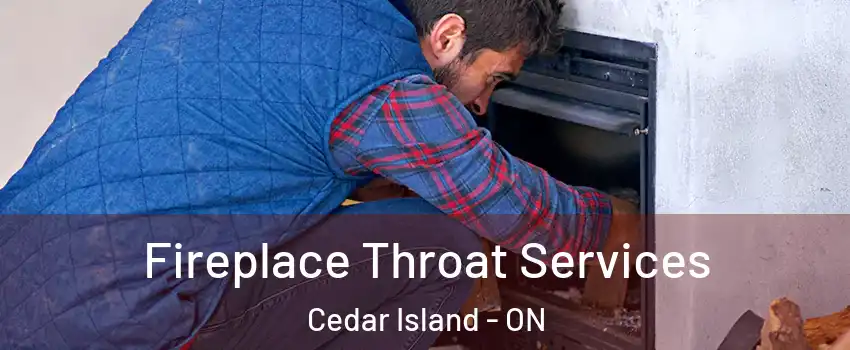  Fireplace Throat Services Cedar Island - ON